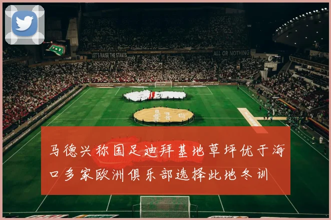 马德兴称国足迪拜基地草坪优于海口多家欧洲俱乐部选择此地冬训